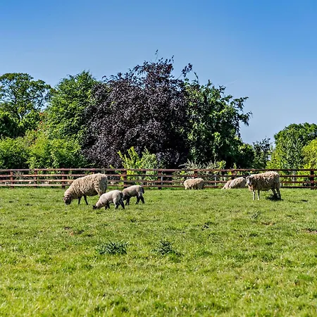 度假居 2 Bed In Ripon Hh039 Bishop Monkton