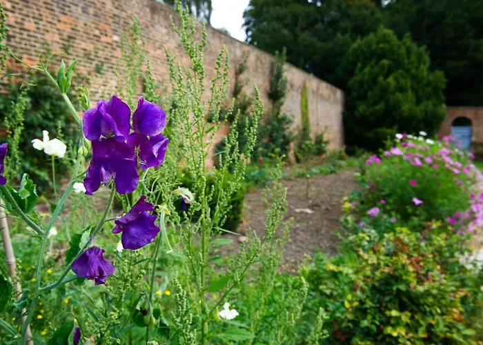 Hébergement de vacances 2 Bed In Ripon Hh039