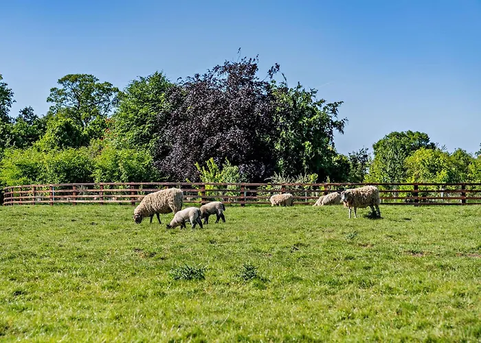 2 Bed In Ripon Oc-hh039